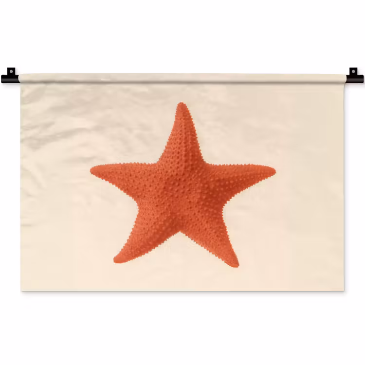 Wandkleed - Zeester - Bobbels - Rood — 1