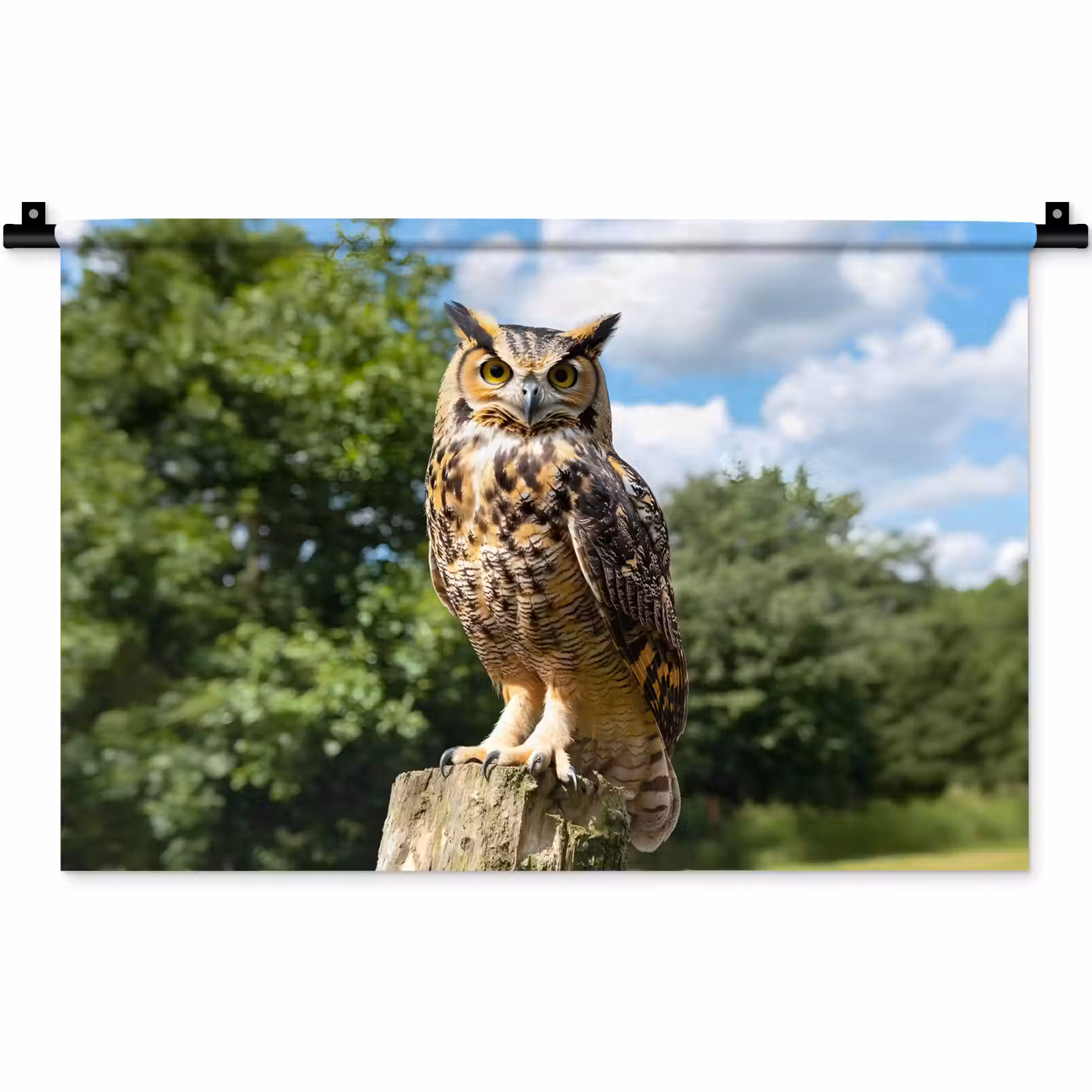 Wandkleed - Uil - Boomstronk - Bos - Lucht — 1