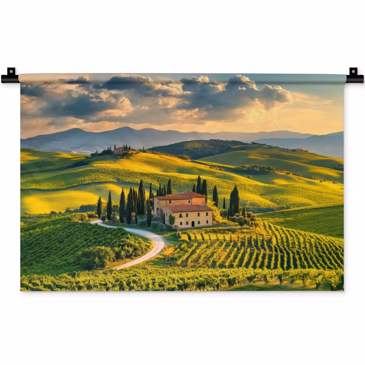 Wandkleed - Toscane - Landschap - Wijngaarden — 1