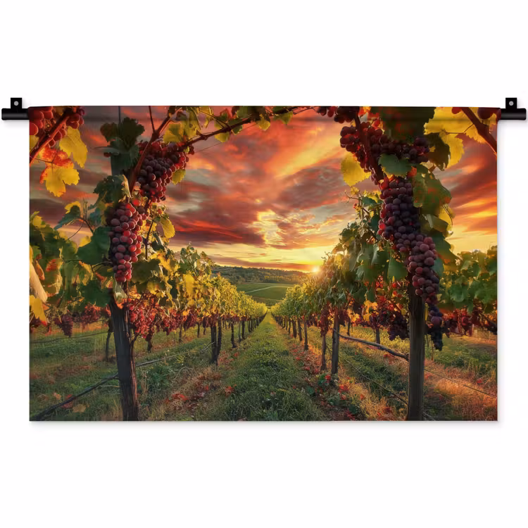 Wandkleed - Wijngaard - Druiven - Zonsondergang — 1