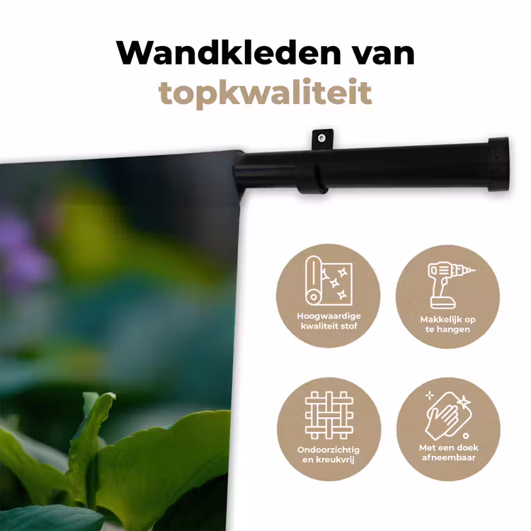 Wandkleed - Viooltjes - Paars - Bloem - Bladeren — 3