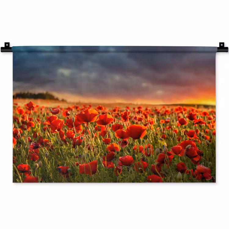 Wandkleed - Zonsondergang - Klaprozen - Rood - Bloemen - Veld - Natuur — 1
