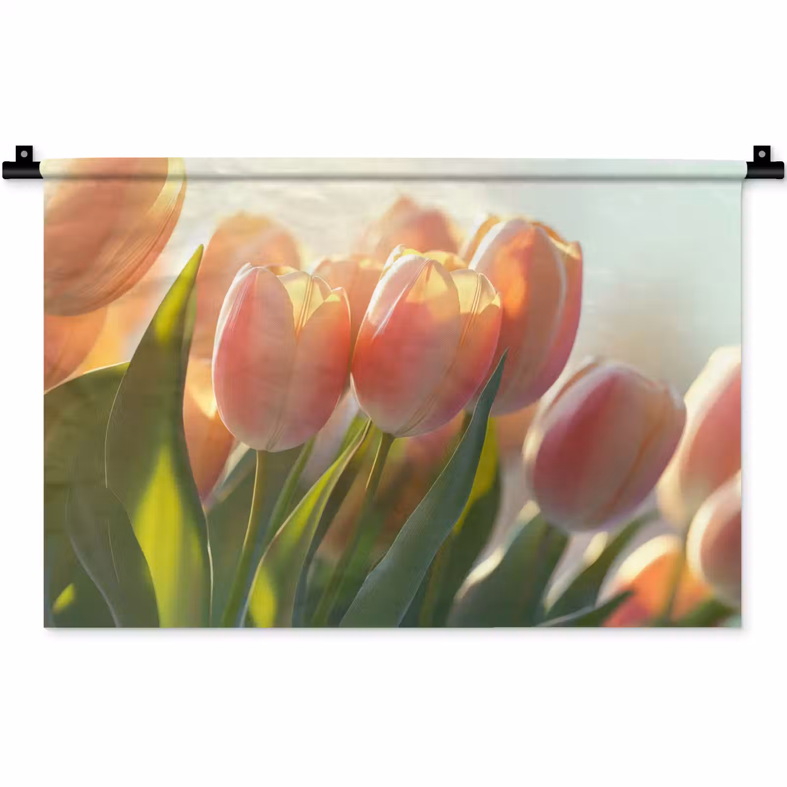 Wandkleed - Tulpen - Roze - Zonnestralen — 1