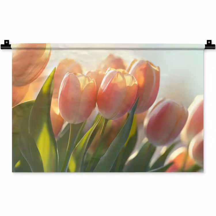 Wandkleed - Tulpen - Roze - Zonnestralen — 1