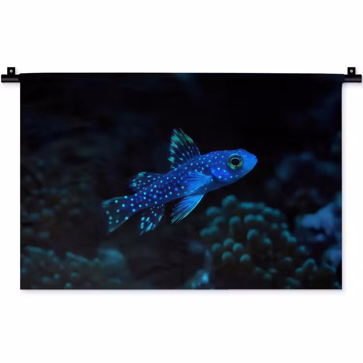 Wandkleed - Vis - Stippen - Koraal - Blauw — 1
