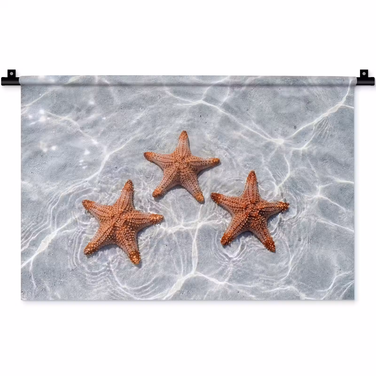 Wandkleed - Zeesterren - Water - Helder — 1
