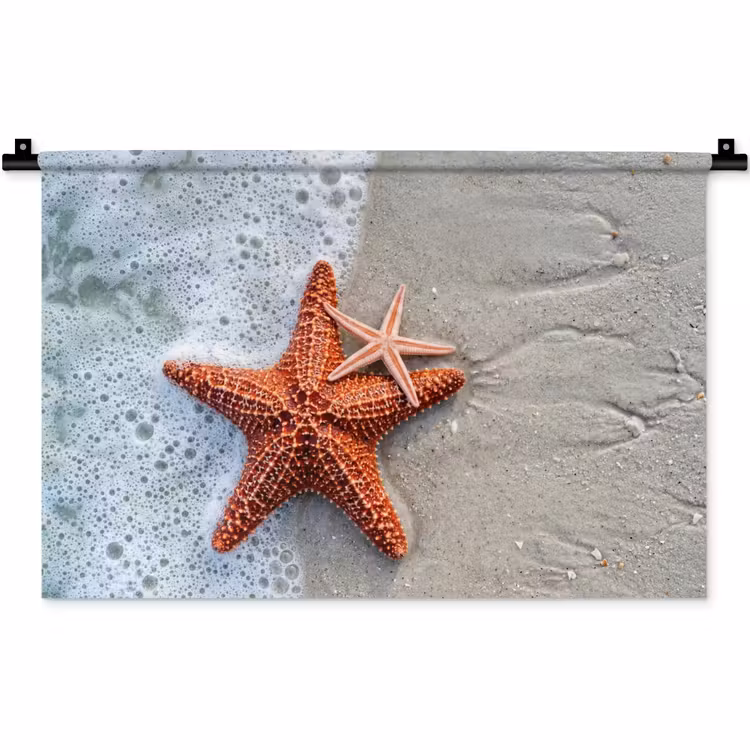 Wandkleed - Zeester - Strand - Zee — 1