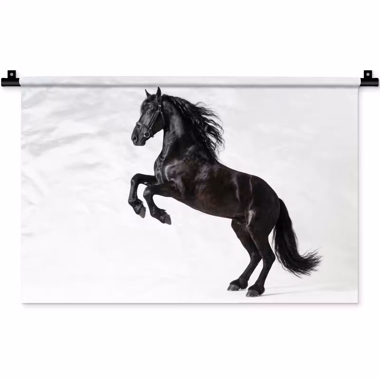 Wandkleed - Zwart - Paard - Portret — 1