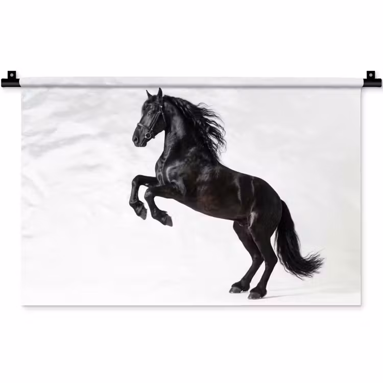 Wandkleed - Zwart - Paard - Portret — 1