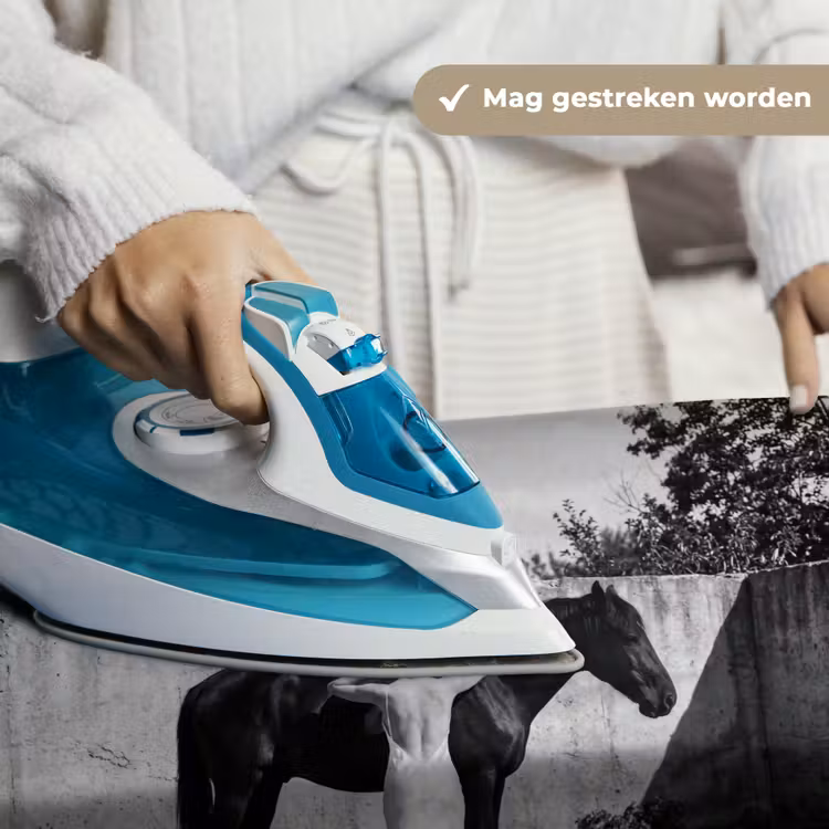 Wandkleed - Vrouw - Paard - Artistiek — 6