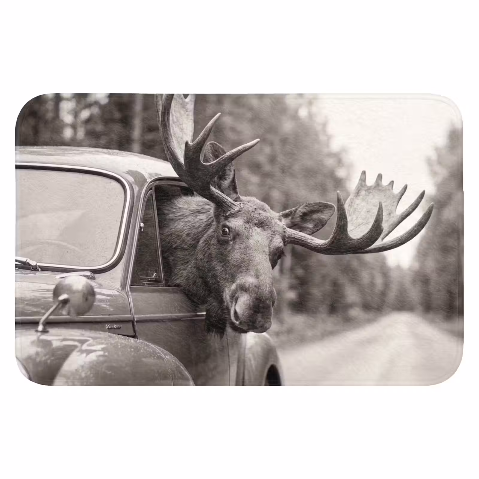 WC Mat - Eland - Auto - Gewei - Zwart - Wit — 1