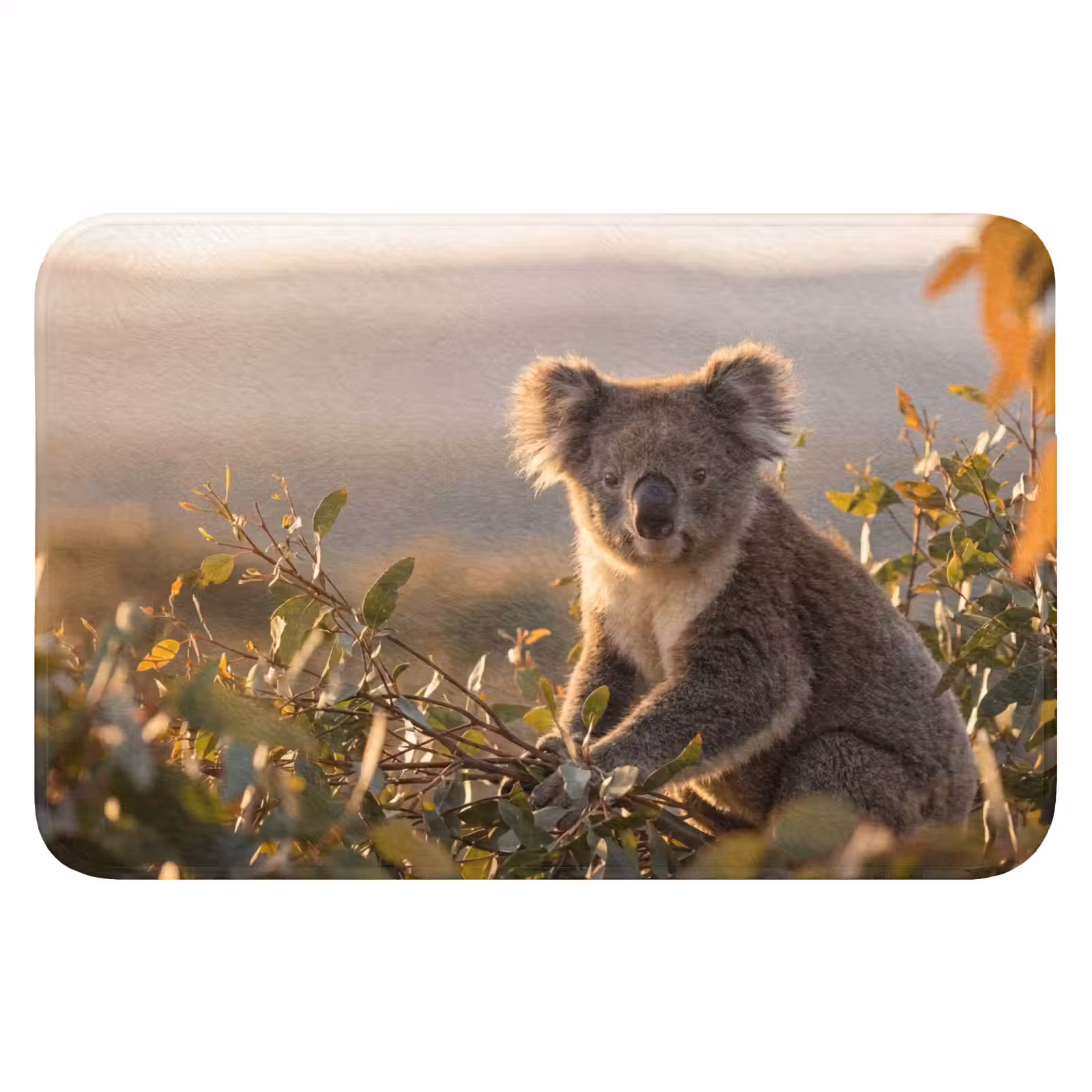 WC Mat - Koala - Bladeren - Ochtendlicht — 1