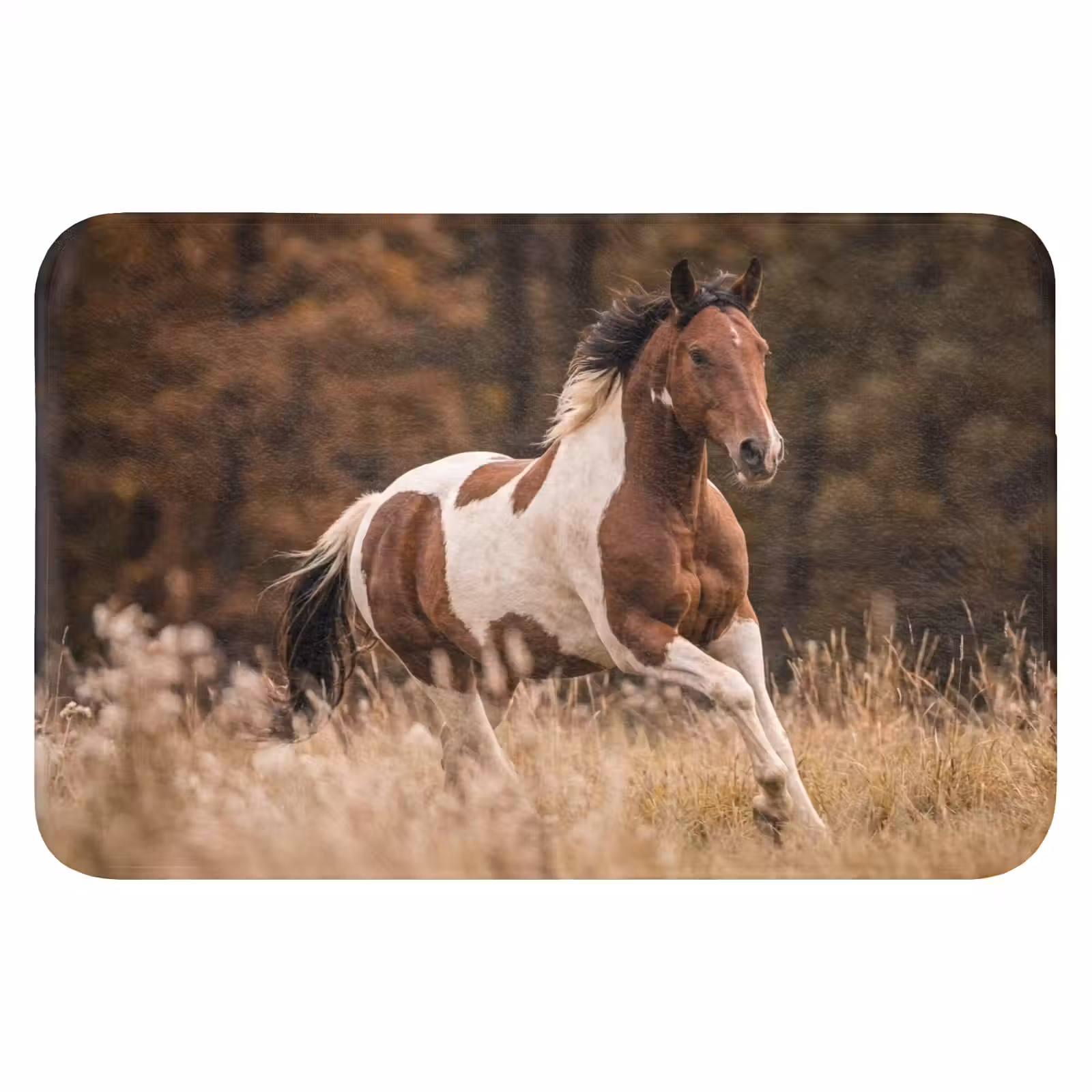 WC Mat - Paard - Bruin - Gras — 1