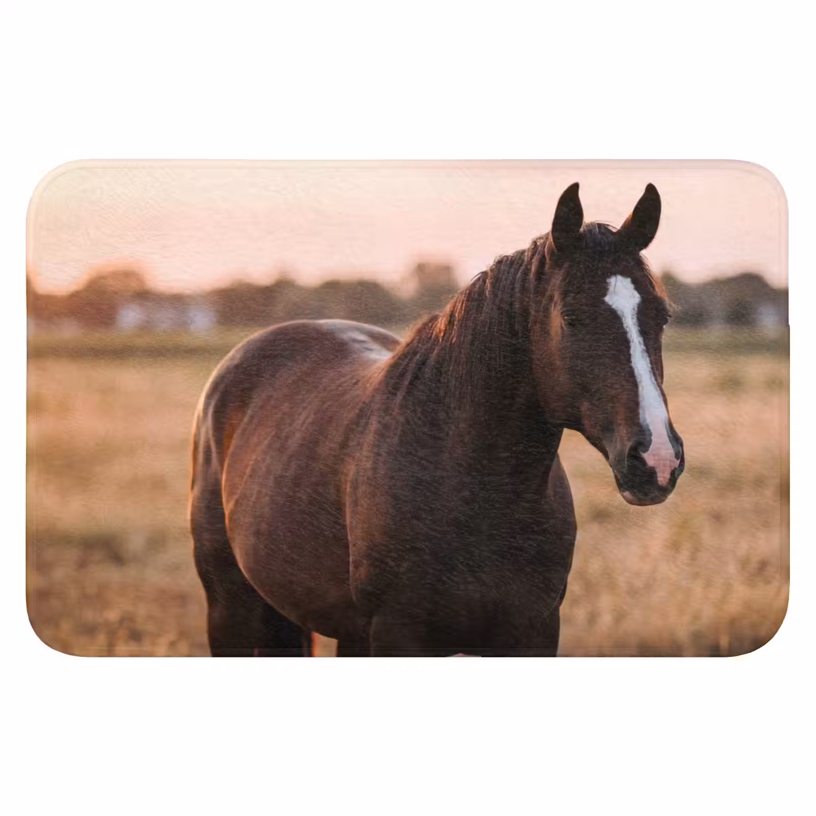 WC Mat - Paard - Zonsondergang - Bruin — 1