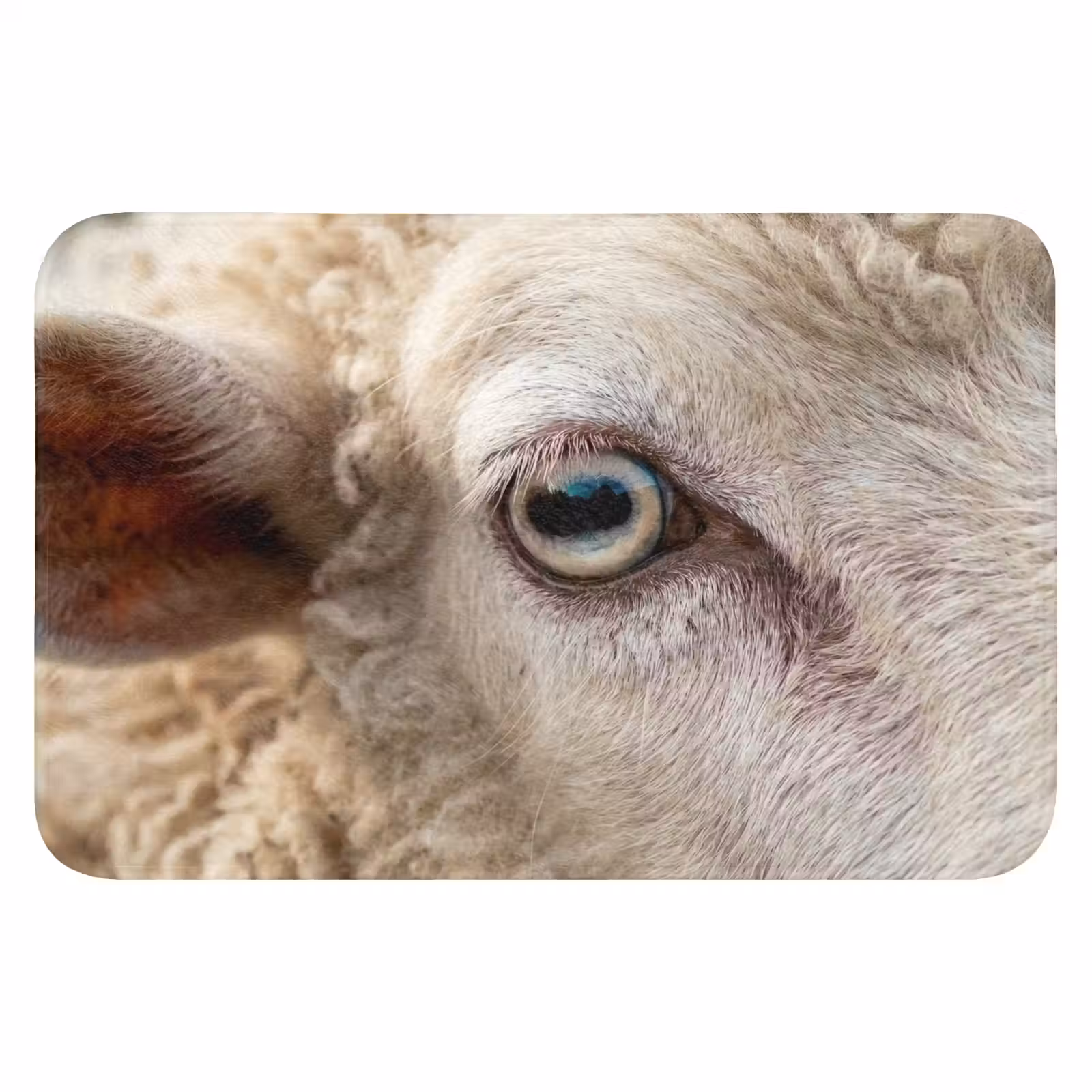 WC Mat - Schaap - Oog - Wit — 1