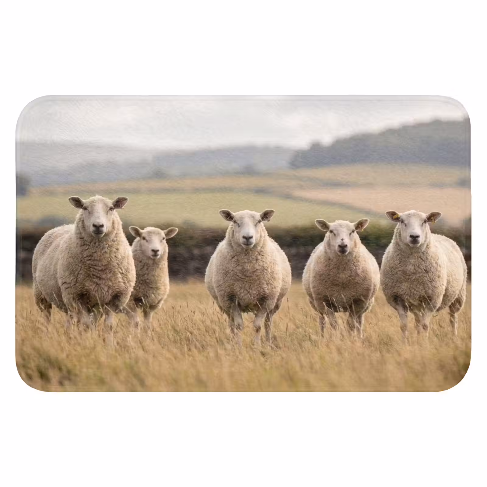 WC Mat - Schapen - Weidenlandschap - Heuvels — 1