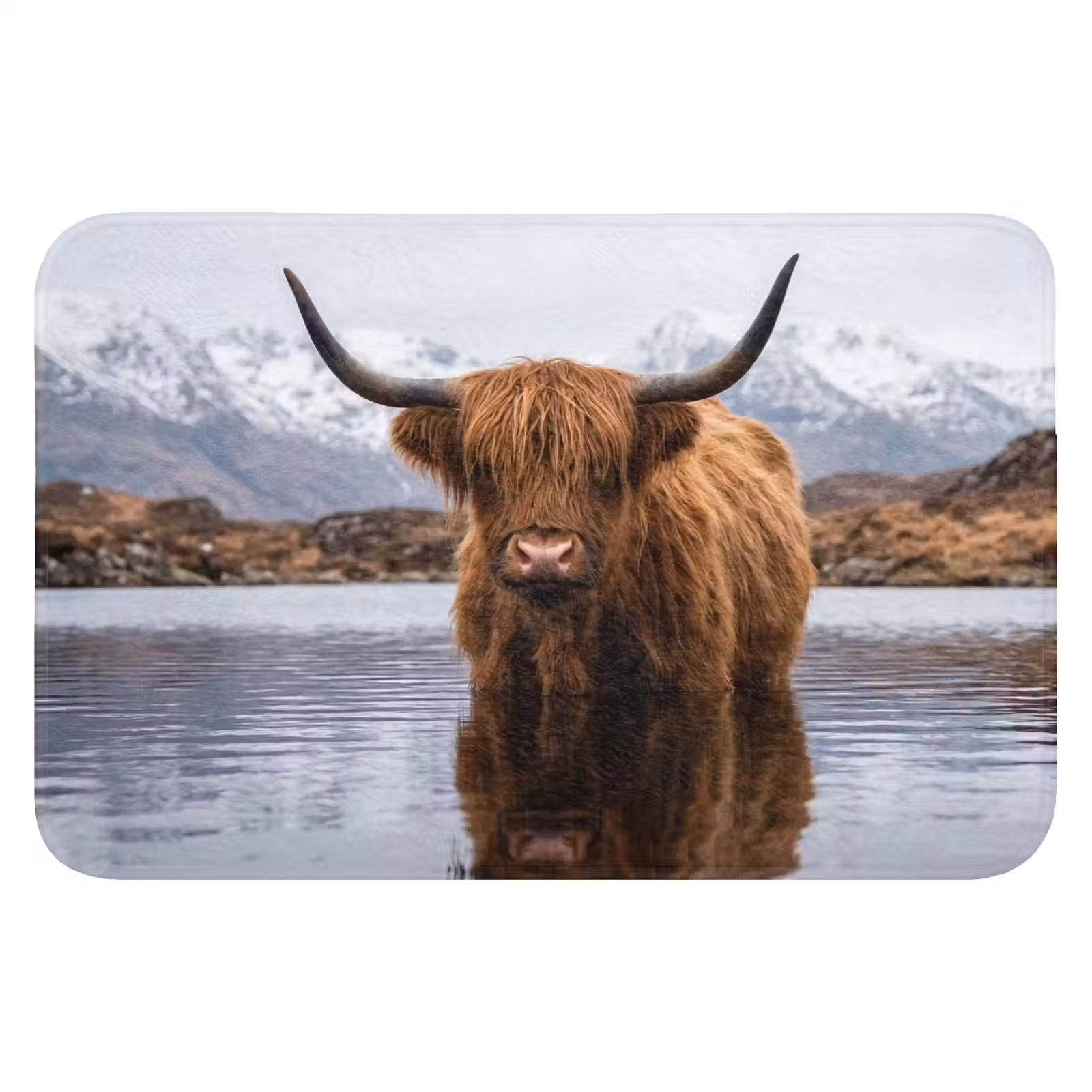 WC Mat - Schotse hooglander - Bruin - Water — 1