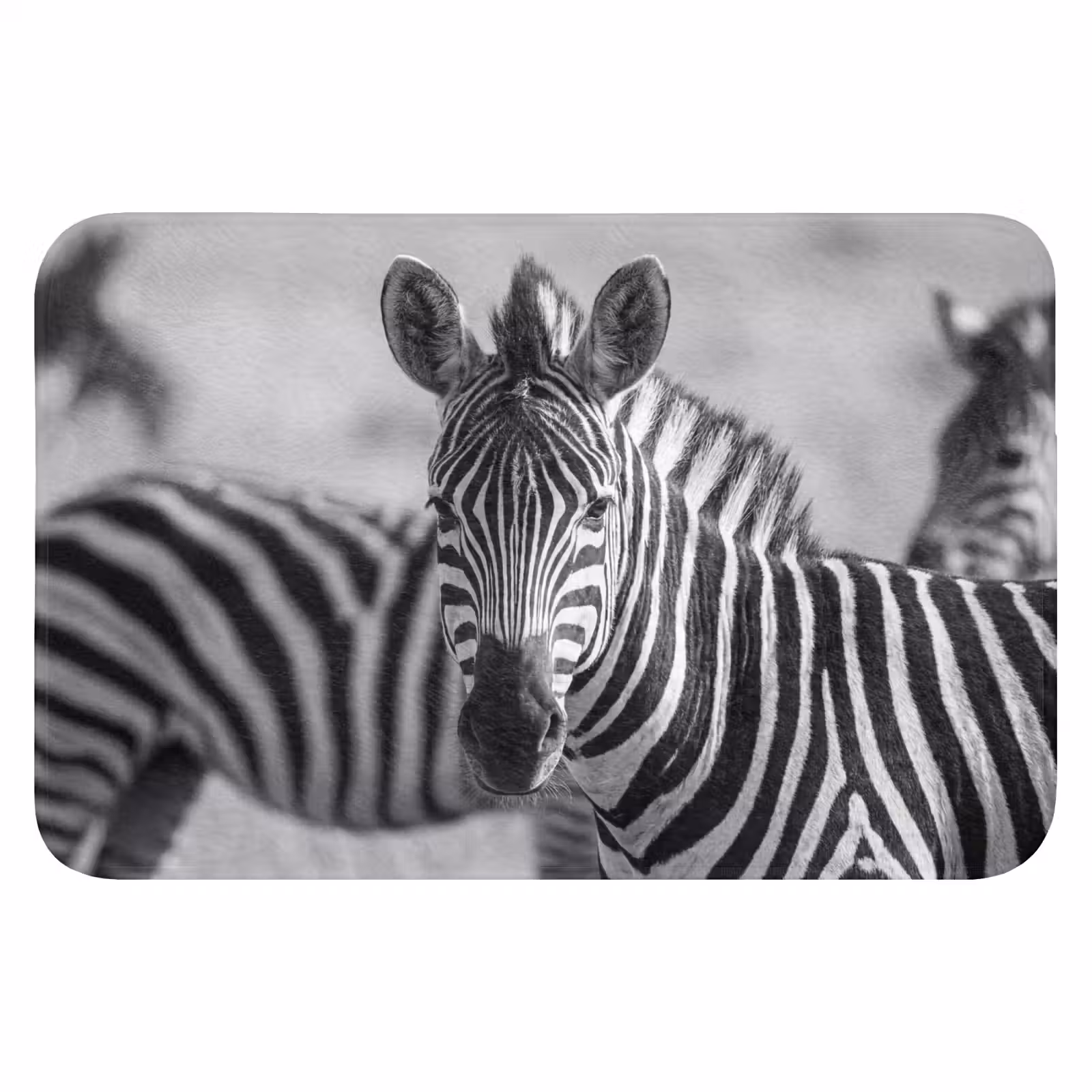 WC Mat - Zebra's - Zwart - Wit — 1