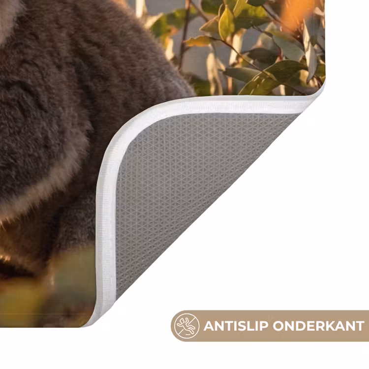 WC Mat - Koala - Bladeren - Ochtendlicht — 3