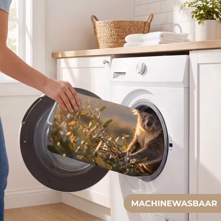 WC Mat - Koala - Bladeren - Ochtendlicht — 5