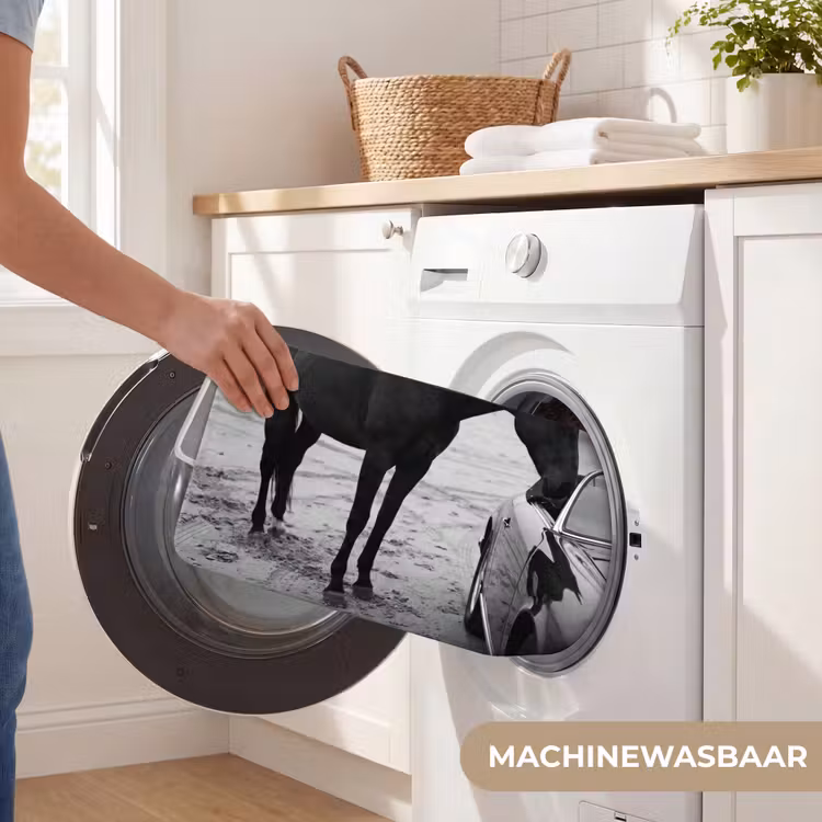 WC Mat - Paard - Auto - Zwart - Wit — 5