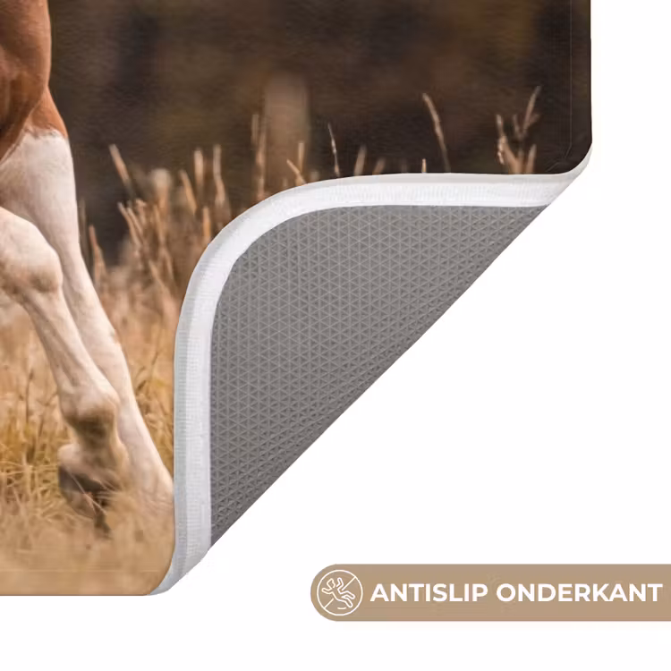 WC Mat - Paard - Bruin - Gras — 3