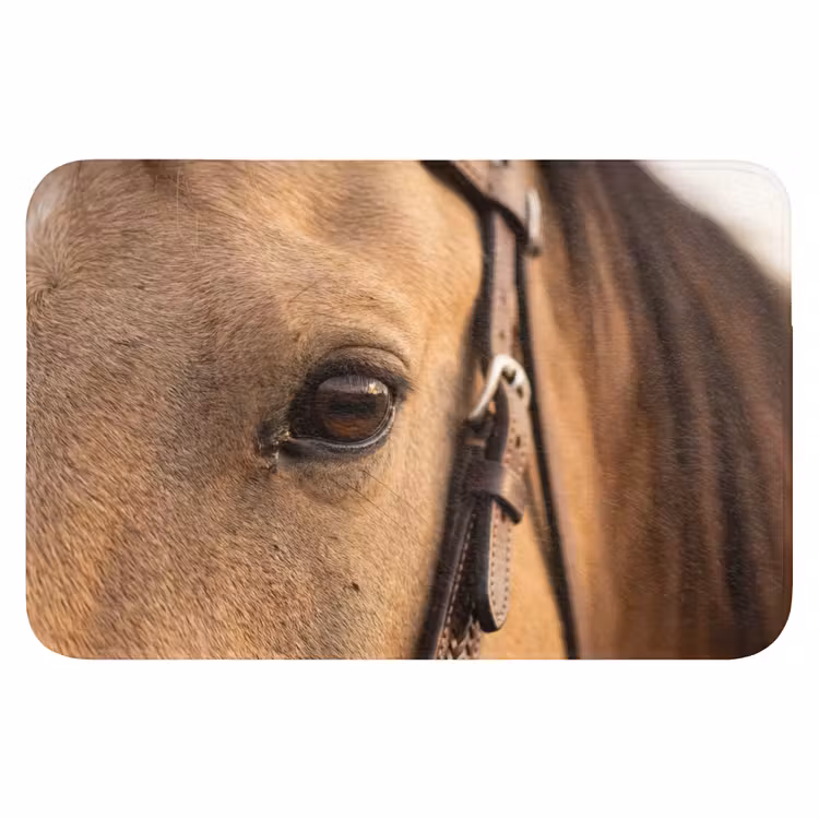WC Mat - Paard - Oog - Bruin — 1