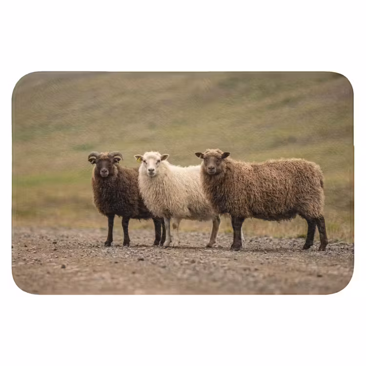 WC Mat - Schapen - Bruin - Wit - Grindpad — 1