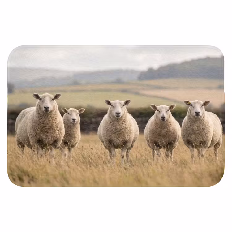 WC Mat - Schapen - Weidenlandschap - Heuvels — 1