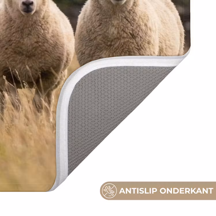 WC Mat - Schapen - Weidenlandschap - Heuvels — 3