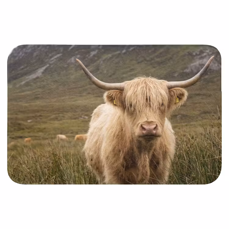 WC Mat - Schotse hooglander - Bergen - Grasveld — 1