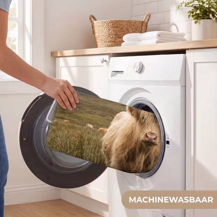 WC Mat - Schotse hooglander - Bergen - Grasveld — 5