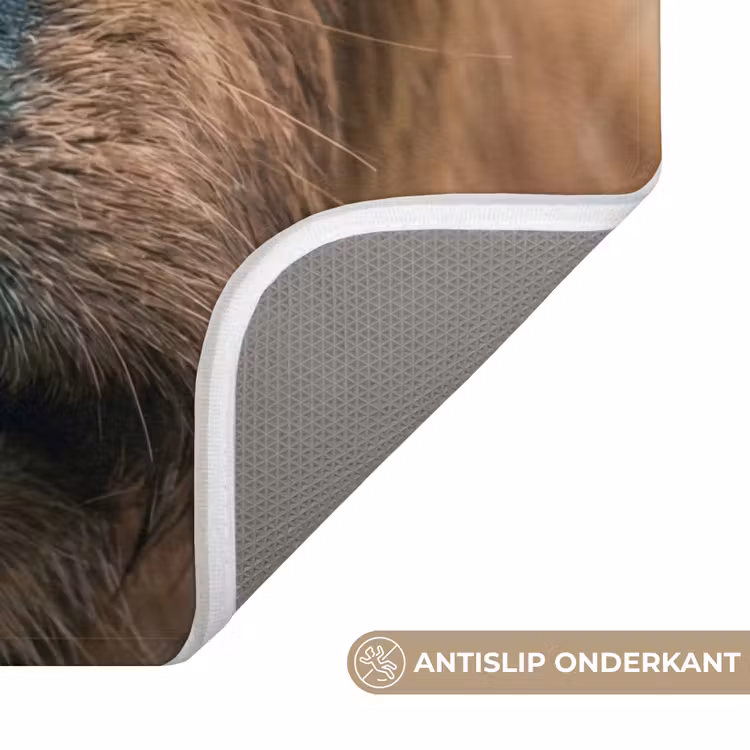 WC Mat - Schotse hooglander - Neus - Bruin — 3
