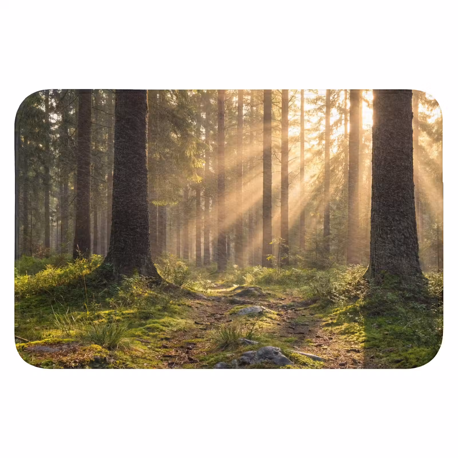 WC Mat - Bos - Zonlicht - Gras — 1