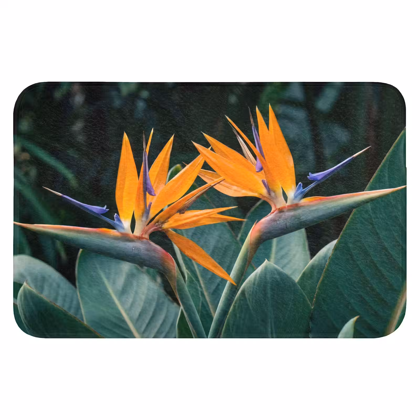 WC Mat - Paradijsvogel - Bloem - Exotisch — 1