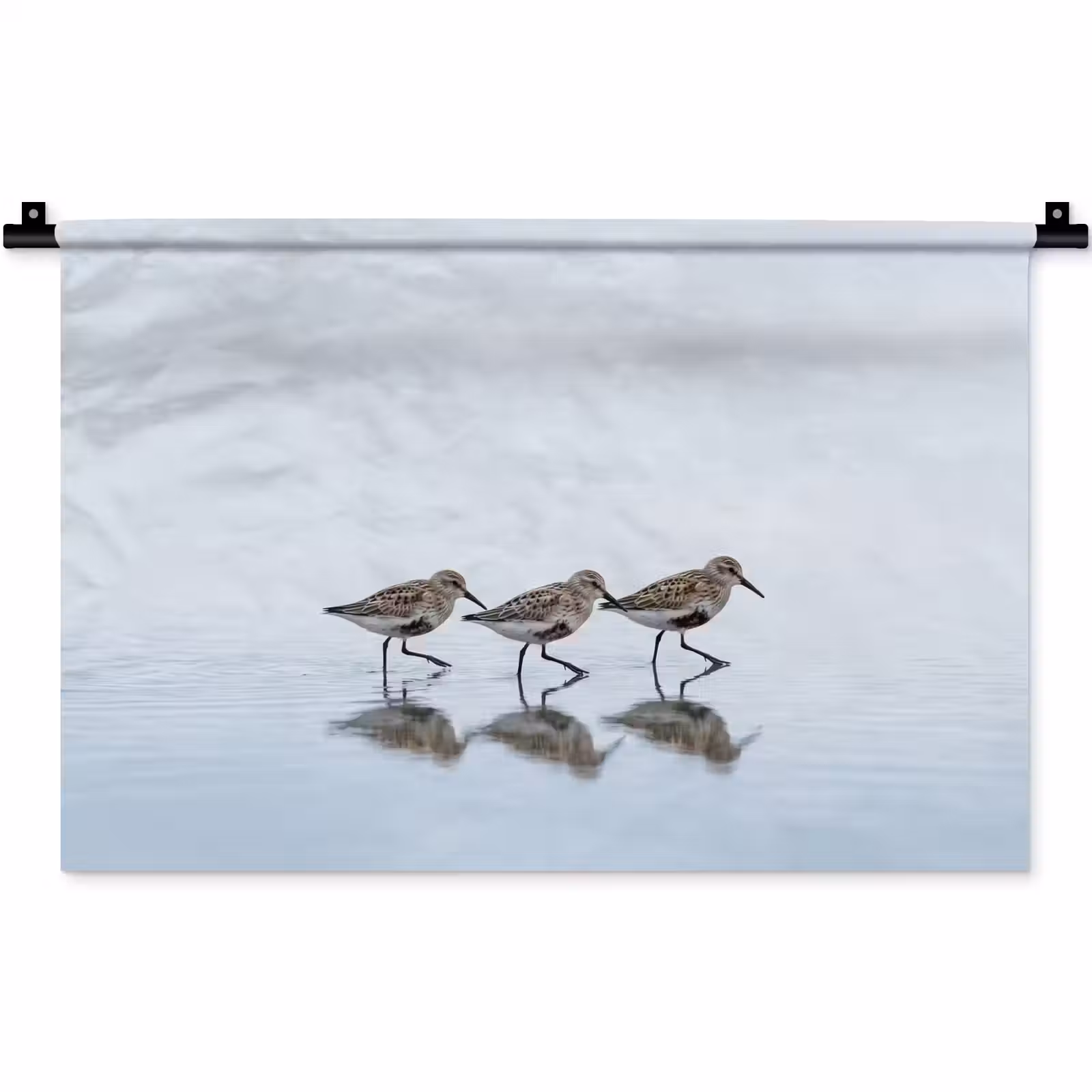 Wandkleed - Vogels - Water - Grijs — 1