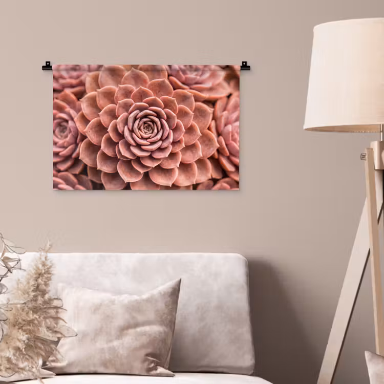 Wandkleed - Vetplant - Organisch - Roze — 2