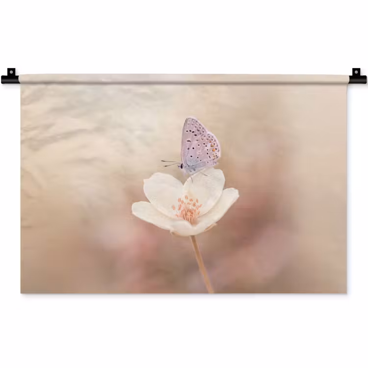 Wandkleed - Vlinder - Bloem - Blauw — 1