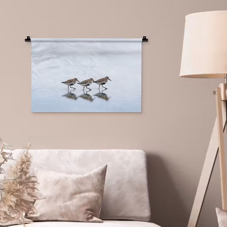 Wandkleed - Vogels - Water - Grijs — 2