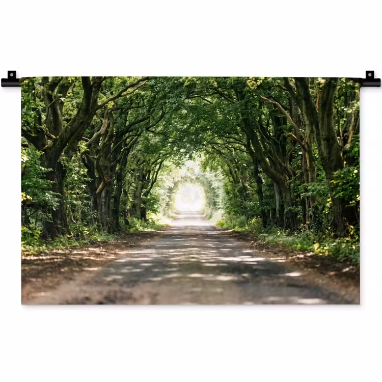 Wandkleed - Weg - Bomen - Natuur - Groen — 1