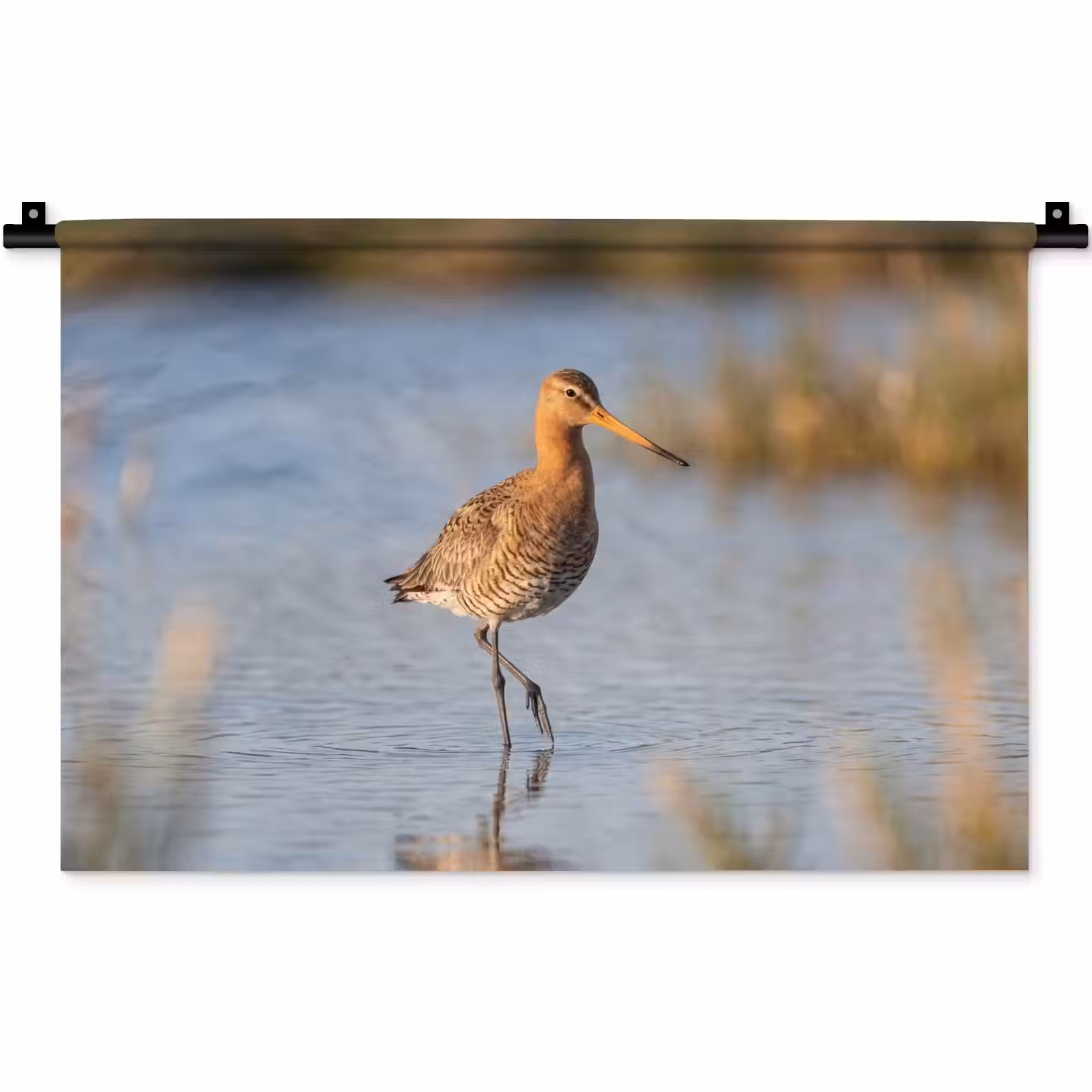 Wandkleed - Vogel - Steltloper - Water - Natuur — 1