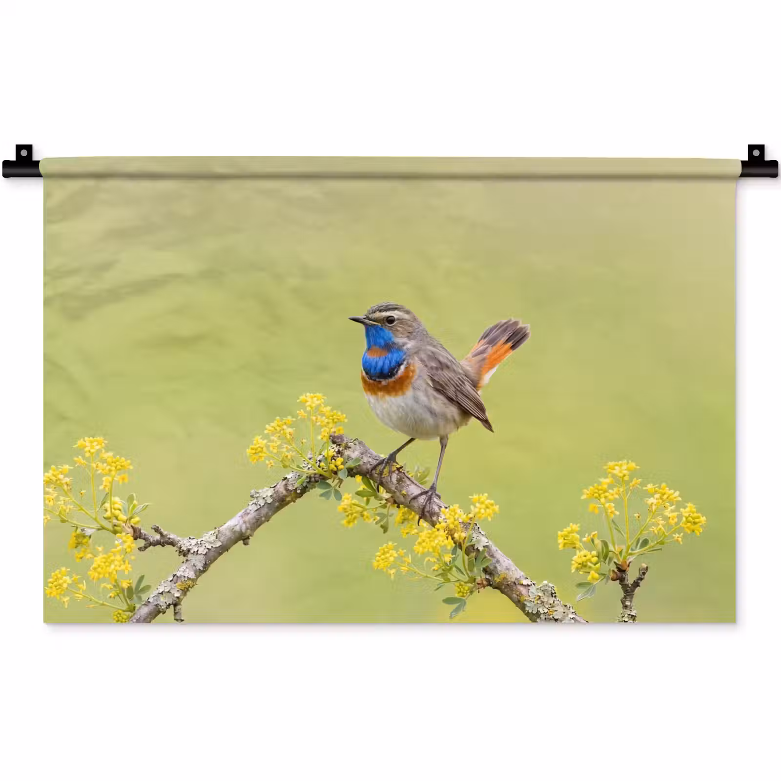 Wandkleed - Vogel - Tak - Natuur - Kleurrijk — 1