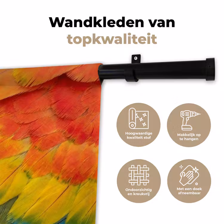 Wandkleed - Veren - Ara - Kleurrijk — 3