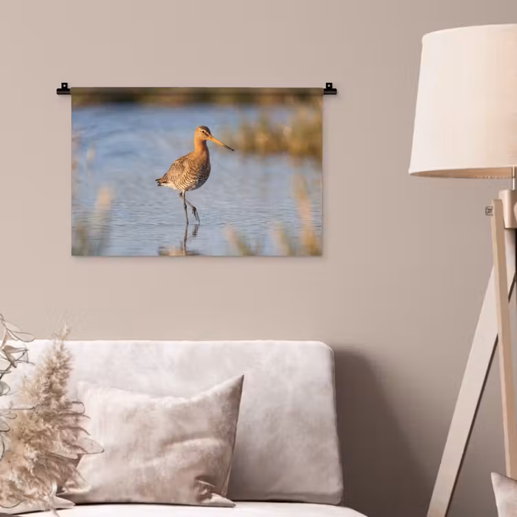 Wandkleed - Vogel - Steltloper - Water - Natuur — 2
