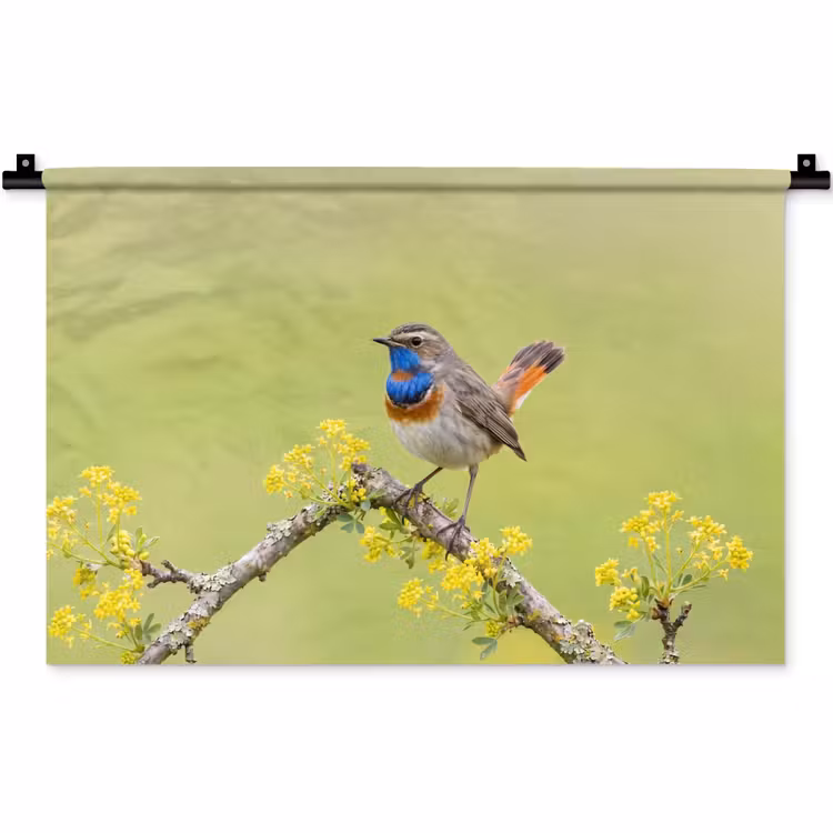 Wandkleed - Vogel - Tak - Natuur - Kleurrijk — 1