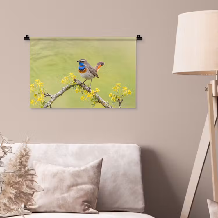Wandkleed - Vogel - Tak - Natuur - Kleurrijk — 2