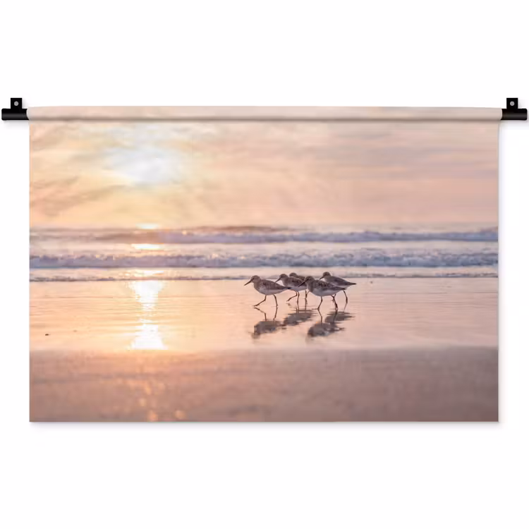 Wandkleed - Zee - Vogels - Strand — 1