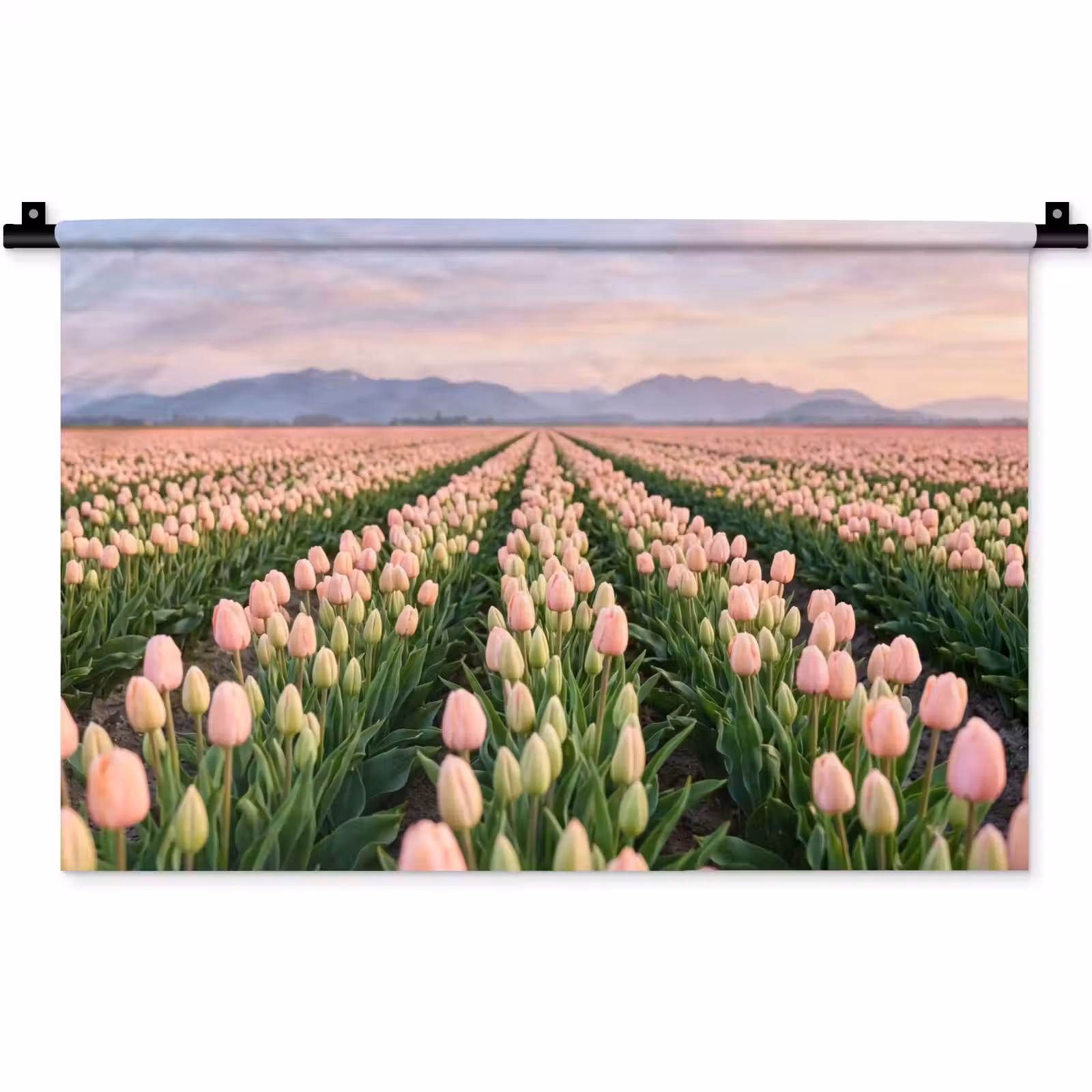 Wandkleed - Tulpen - Landschap - Roze — 1