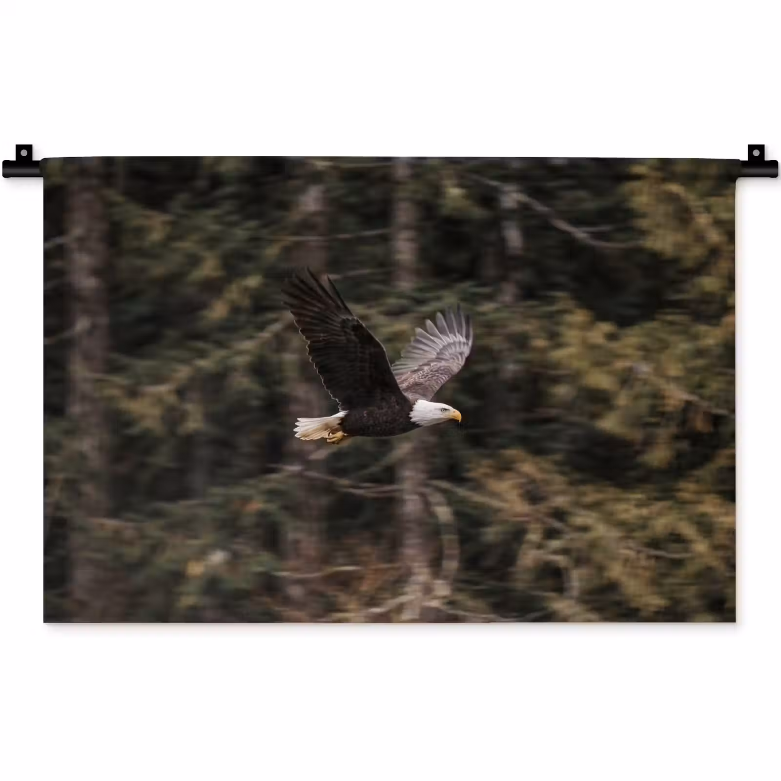 Wandkleed - Zeearend - Vliegen - Bos - Natuur — 1