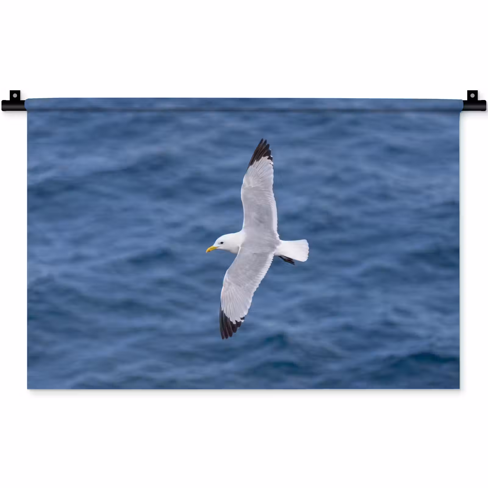 Wandkleed - Zeemeeuw - Oceaan - Blauw — 1